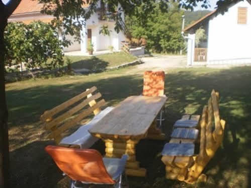 Guest House Family Dukic Rakovica Zewnętrze zdjęcie